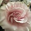 restyle_b